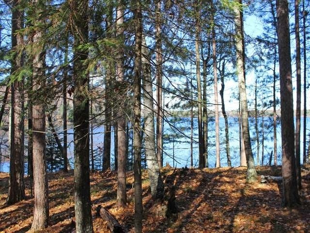 Lot 6 Bear Lake Road Hazelhurst, WI 54531 - Photo 10 of 19 Gallery Image 10