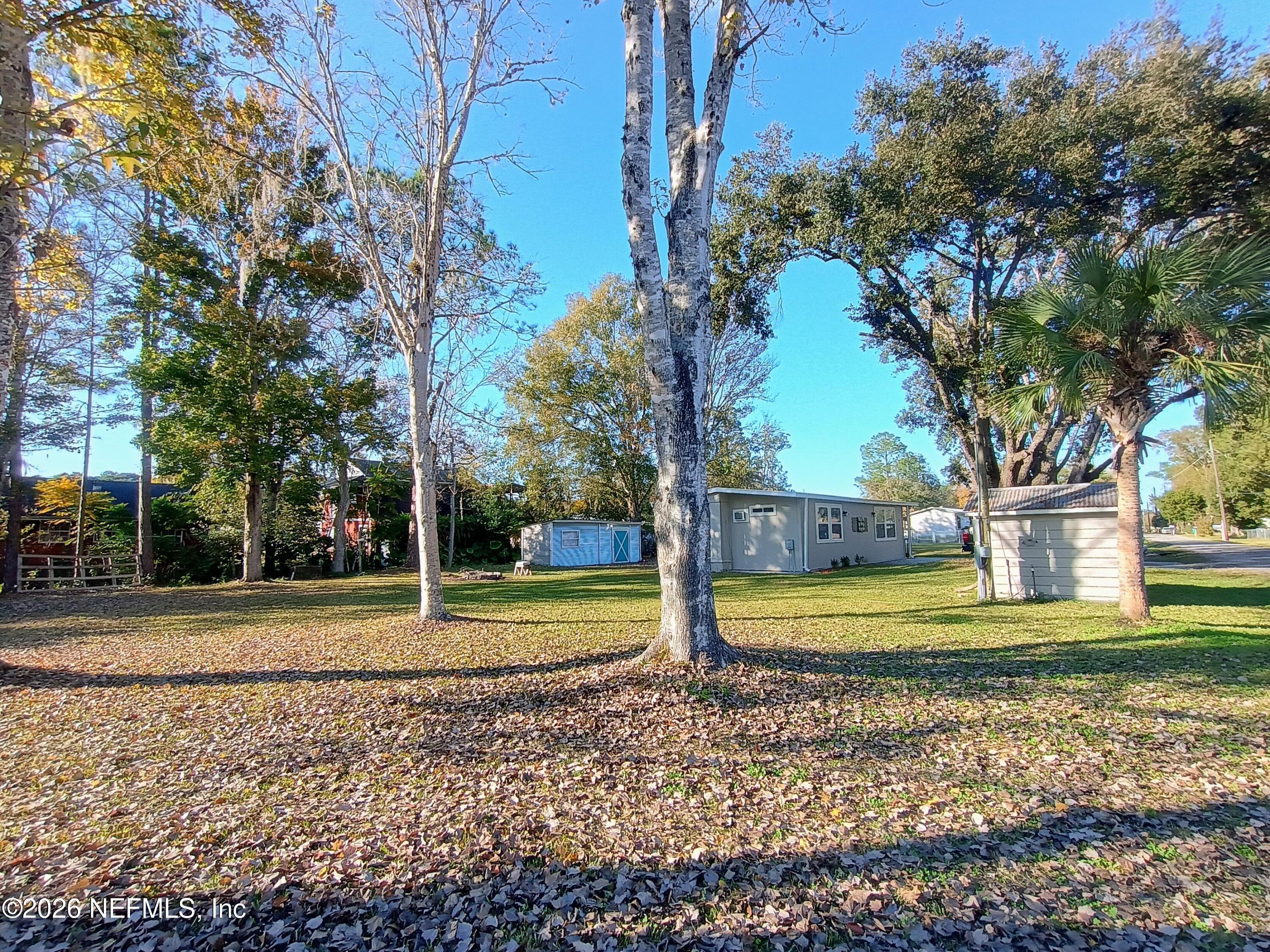 215 Pine Tree Trail Crescent City, FL 32112 - Photo 11 of 25 a view of a house with a big yard and large trees