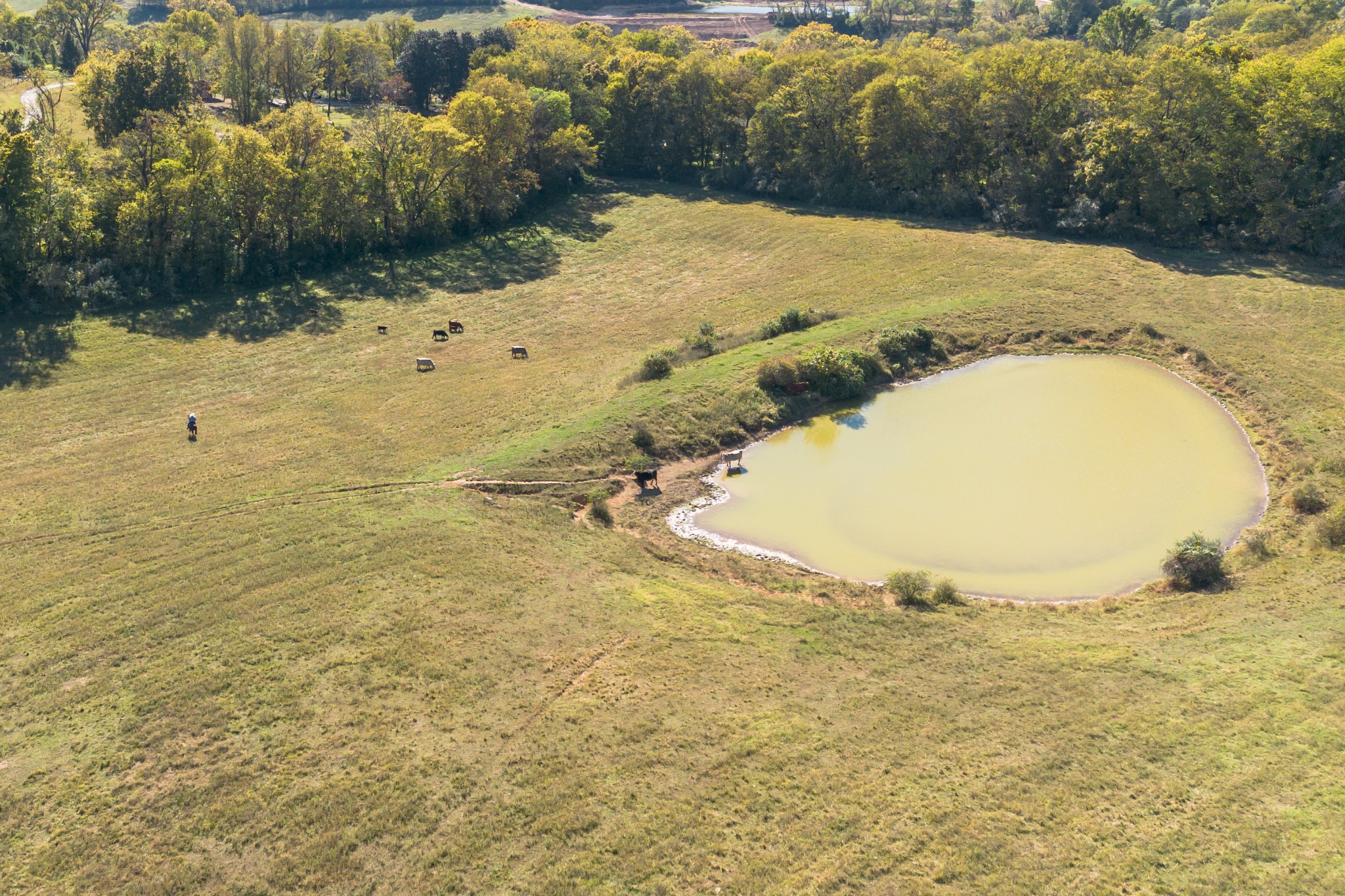 2202 Darks Mill Road Columbia, TN 38401 - Photo 80 of 100