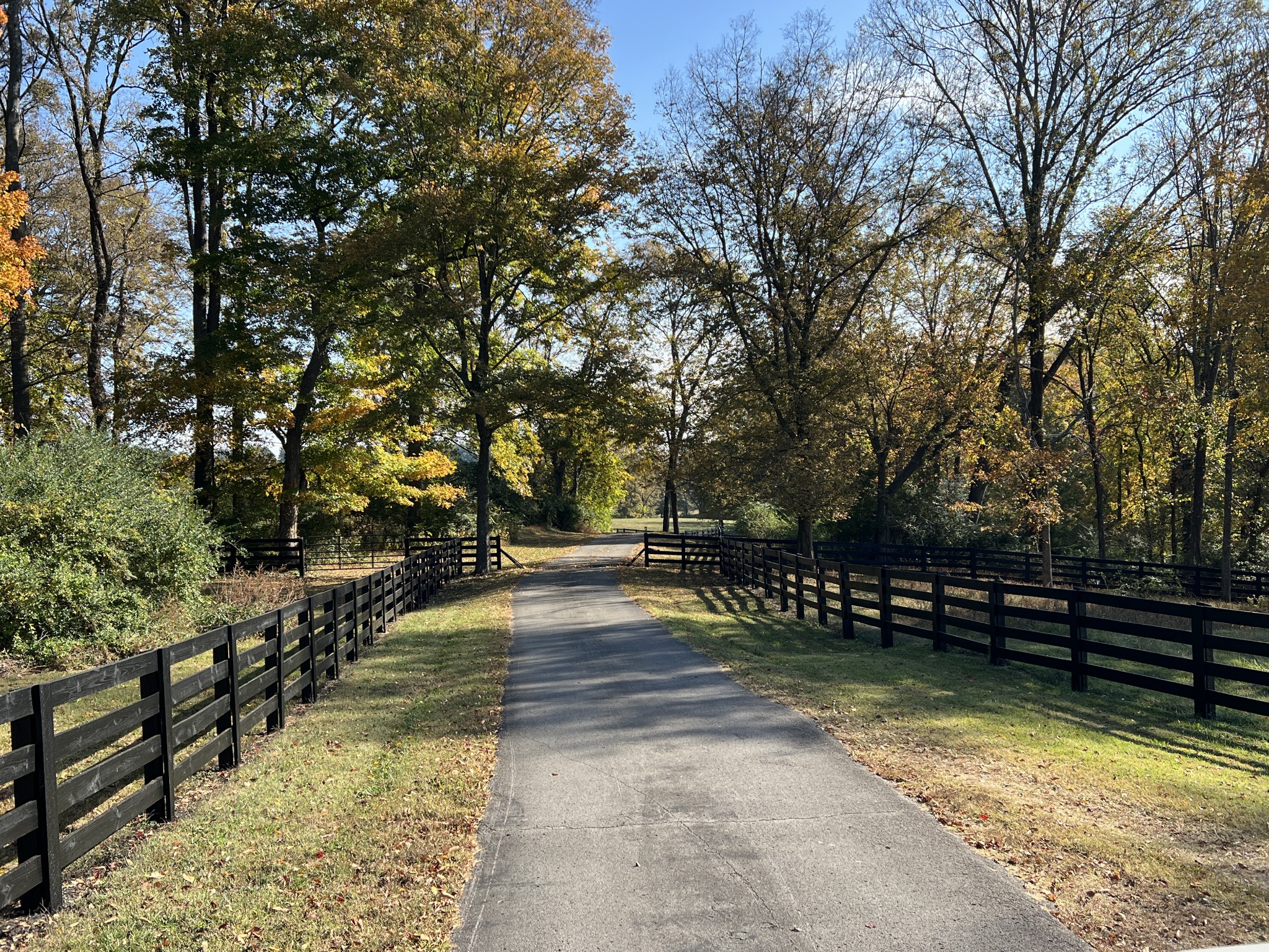 2202 Darks Mill Road Columbia, TN 38401 - Photo 8 of 100