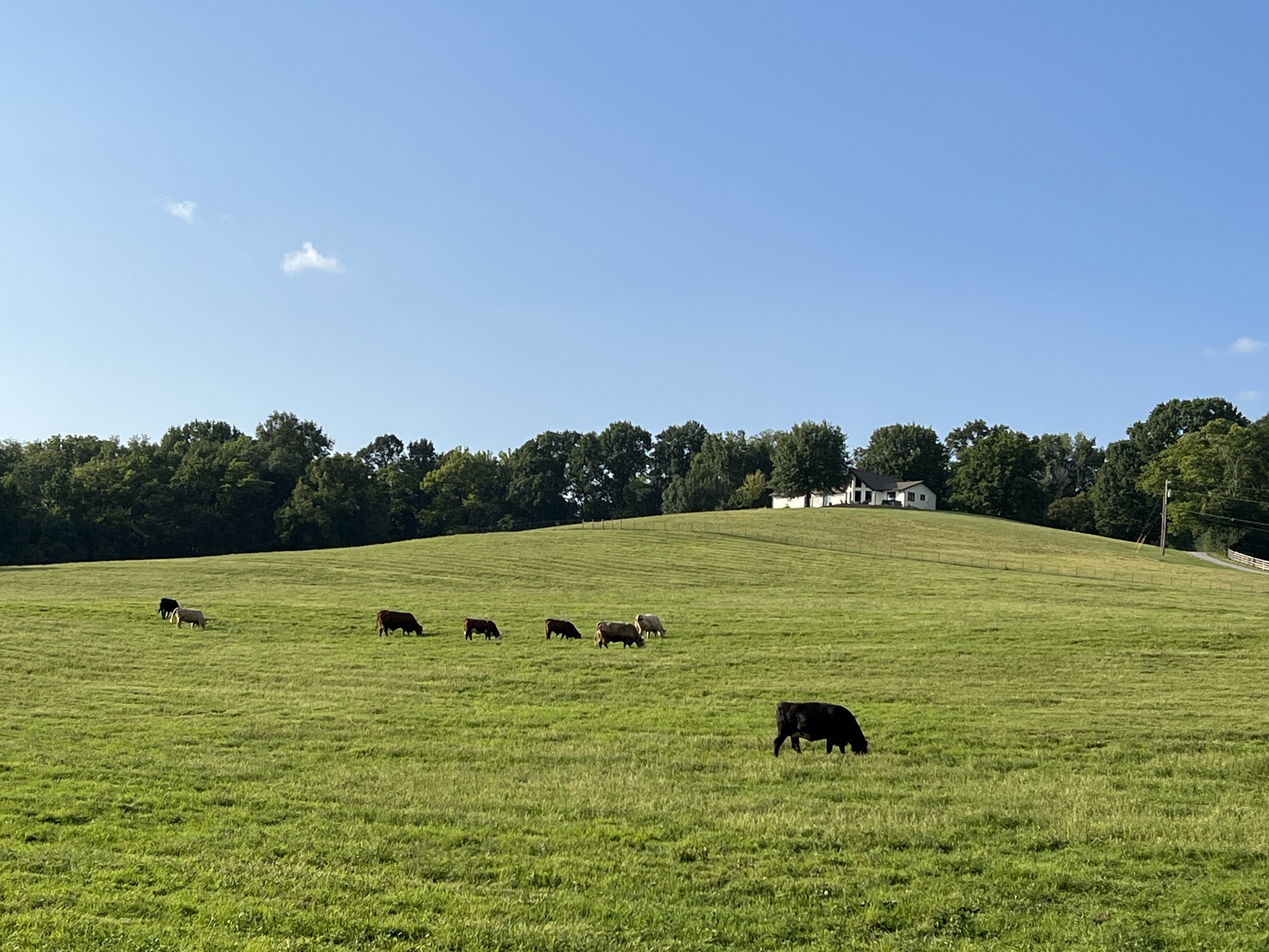 2202 Darks Mill Road Columbia, TN 38401 - Photo 84 of 100