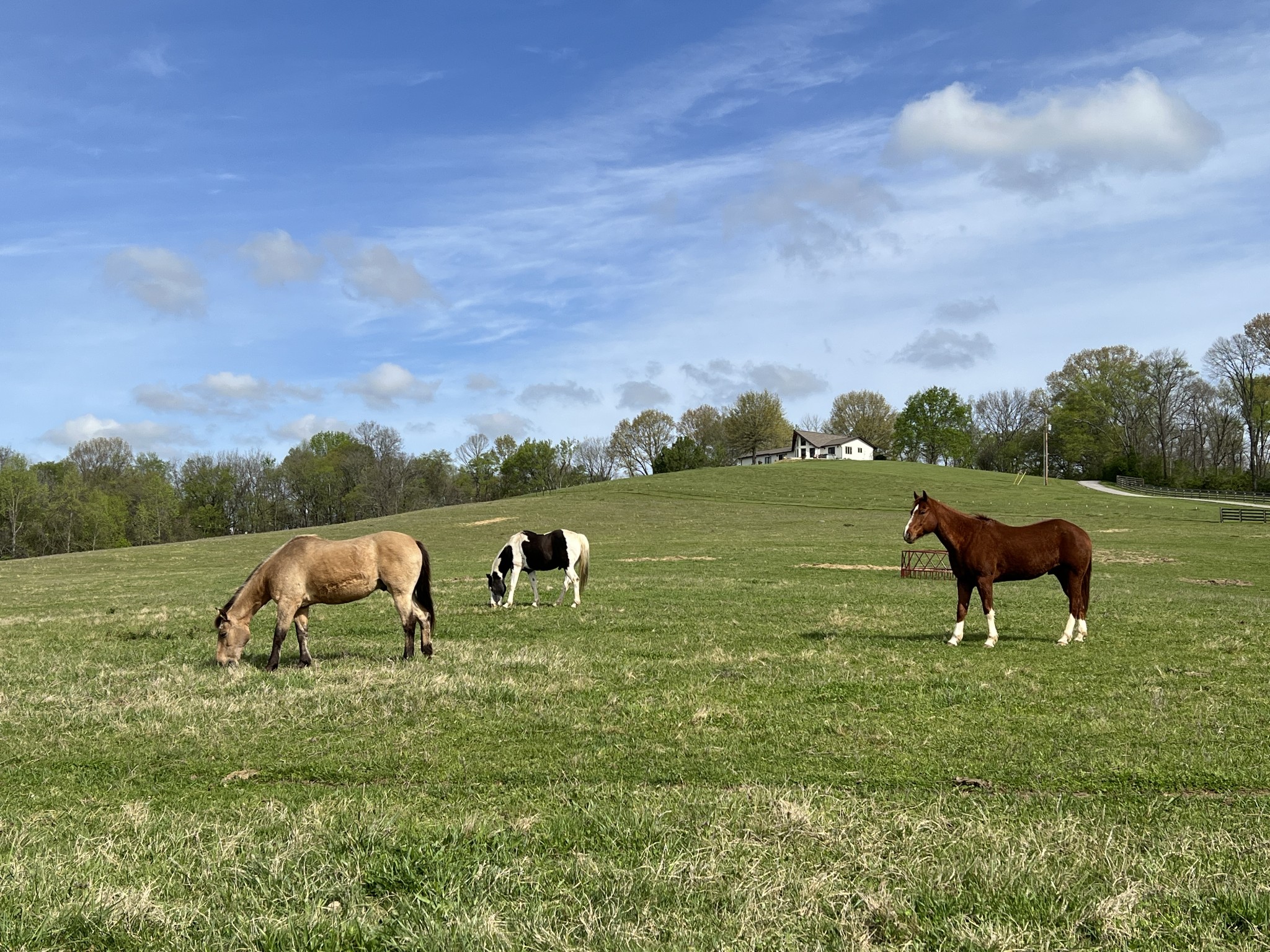 2202 Darks Mill Road Columbia, TN 38401 - Photo 85 of 100