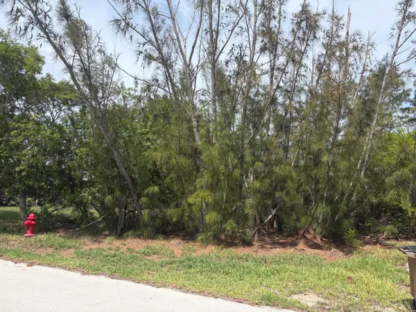 $99,000 | 0 Lobstertail Road, Big Pine Key, FL 33043