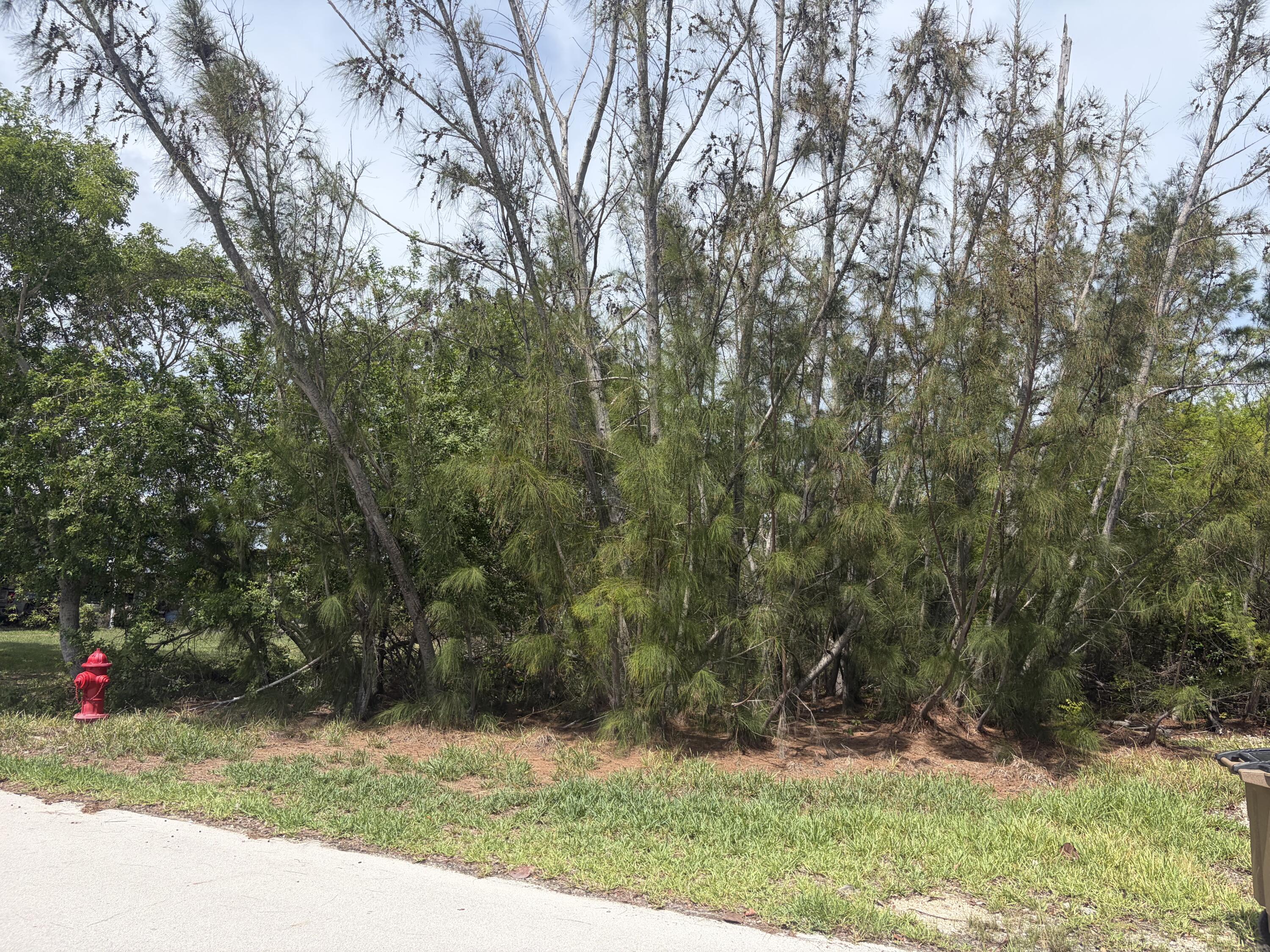 0 Lobstertail Road Big Pine Key, FL 33043 - Photo 1 of 2 Front view