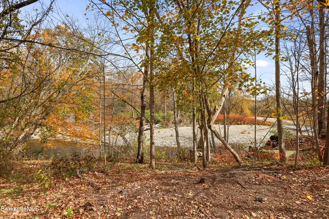 a view of dirt yard with a large tree