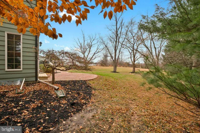 a view of outdoor space with trees all around