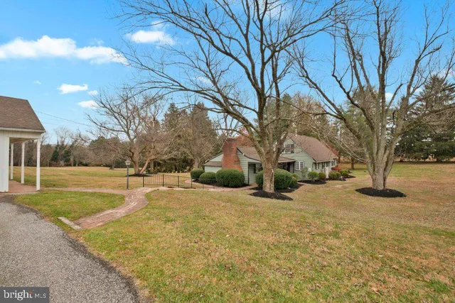 a view of a yard with a tree
