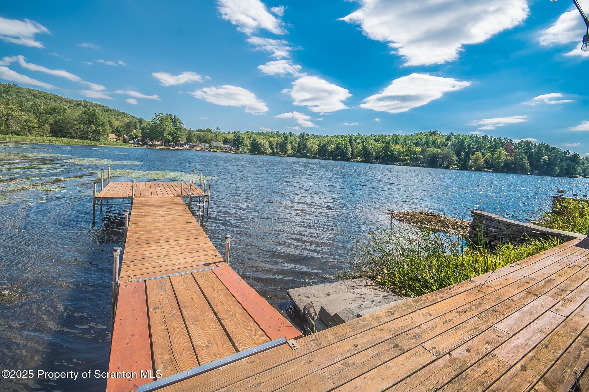 260 Baylors Lake Road Fleetville, PA 18420 - Photo 9 of 69 a view of swimming pool with lounge chair