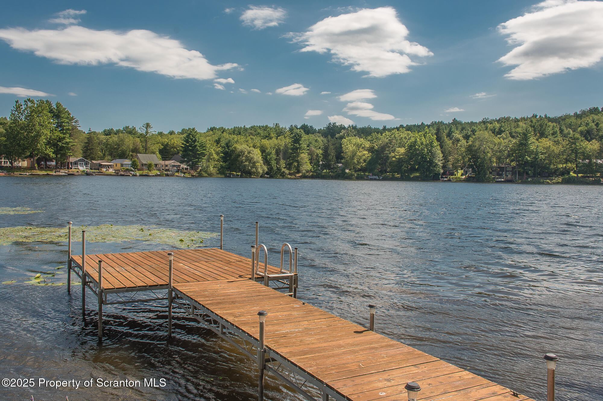 260 Baylors Lake Road Fleetville, PA 18420 - Photo 10 of 69 a view of swimming pool with lake and trees in the back
