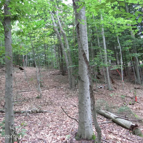 $40,000 | L16 Barker Road, Northville, NY 12134