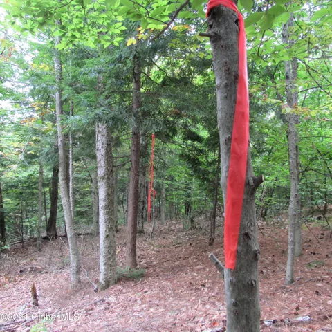 $40,000 | L16 Barker Road, Northville, NY 12134