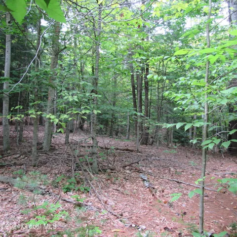 $40,000 | L16 Barker Road, Northville, NY 12134