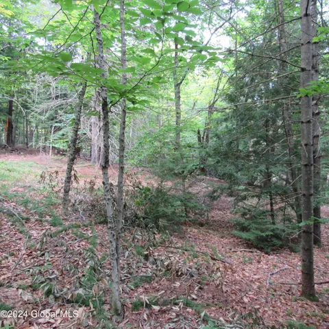 $40,000 | L16 Barker Road, Northville, NY 12134