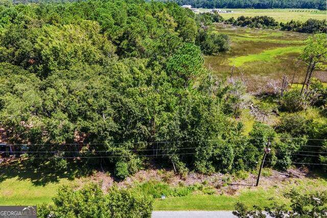 Lot 2 Dufour Rd Street St. Marys, GA 31558 - Photo 10 of 13