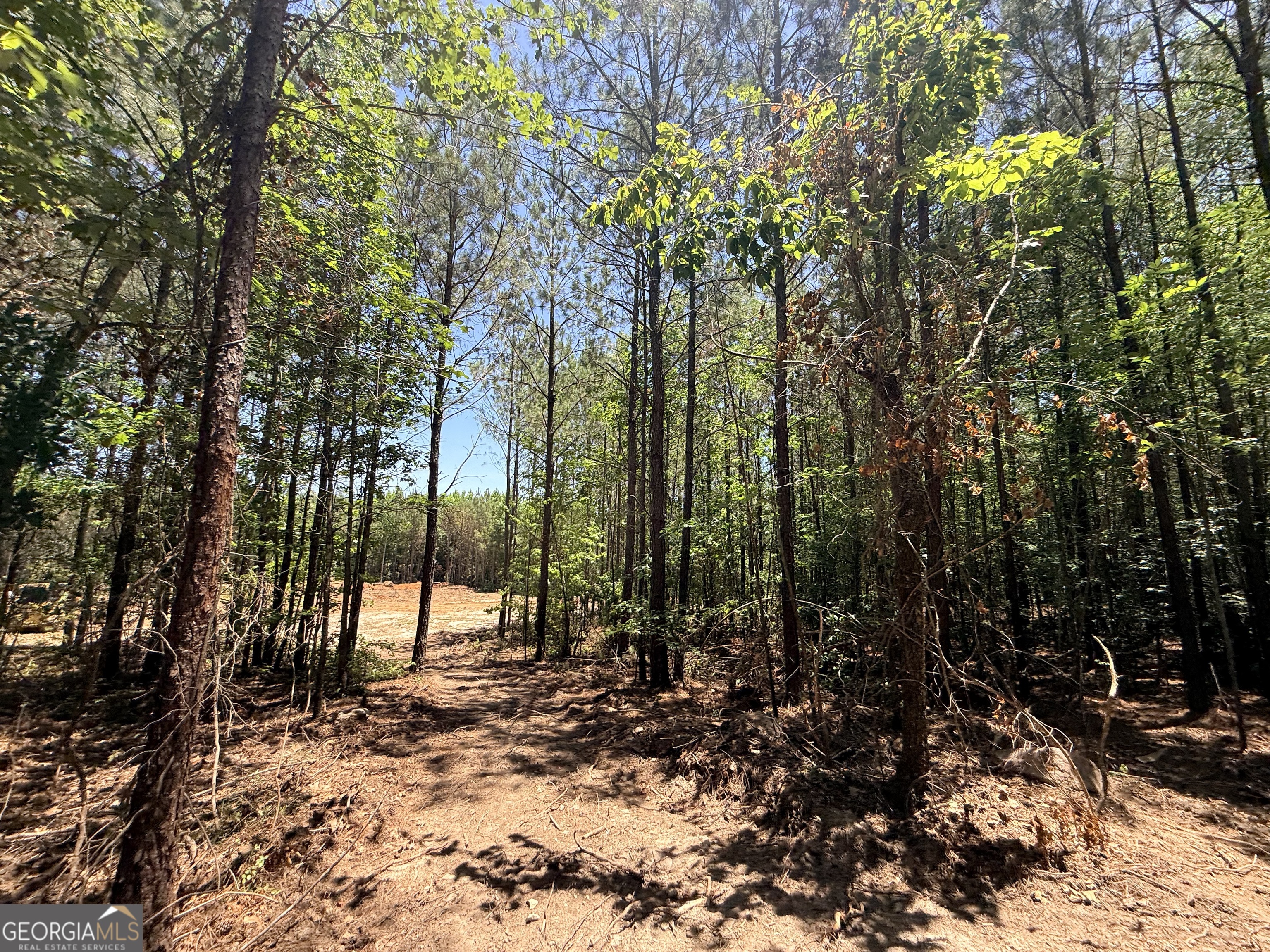 2807 Cedar Creek Road Elberton, GA 30635 - Photo 24 of 109