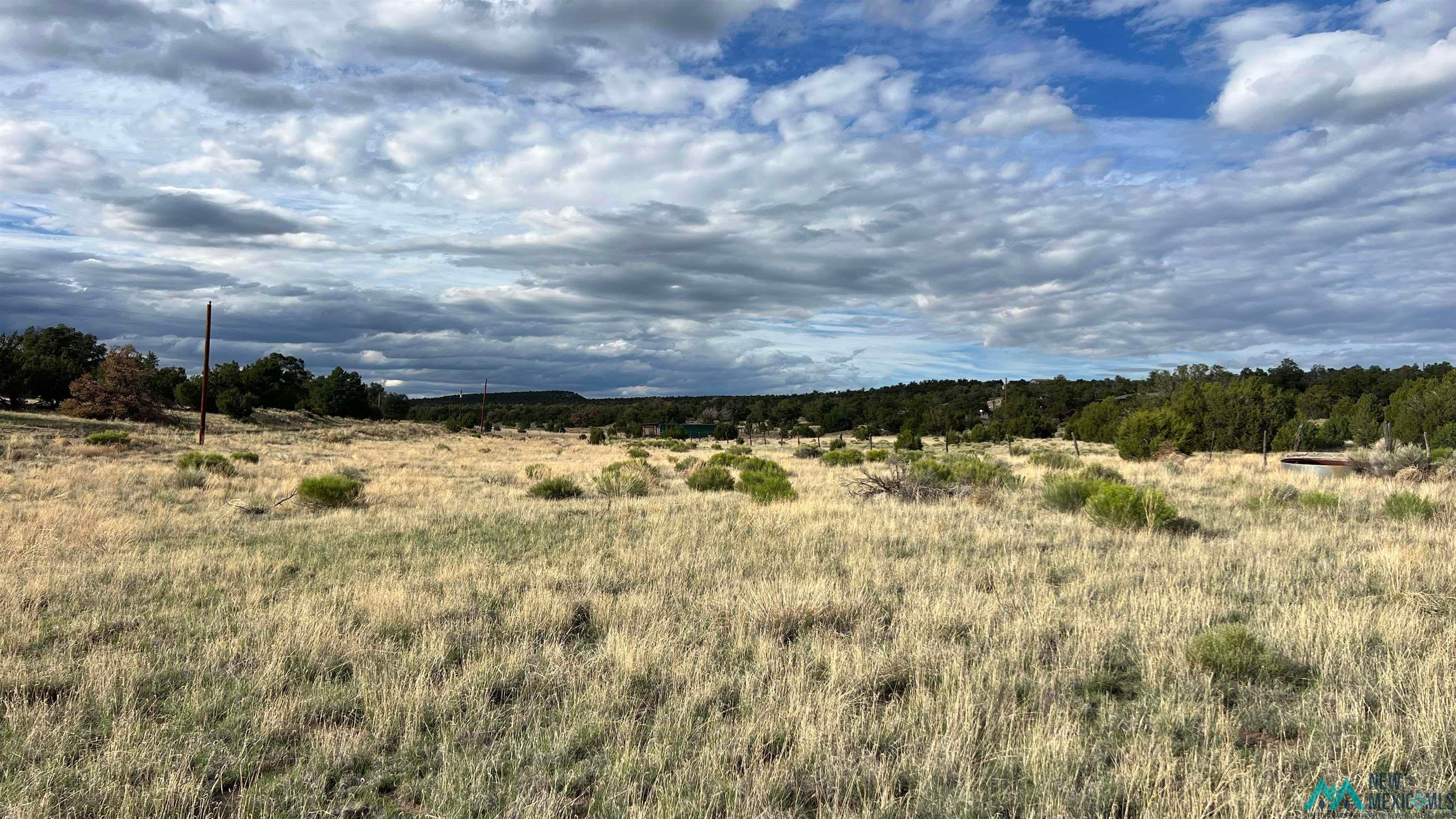 Warpath Road Quemado, NM 87829 - Photo 3 of 12 View of nature with rural landscape
