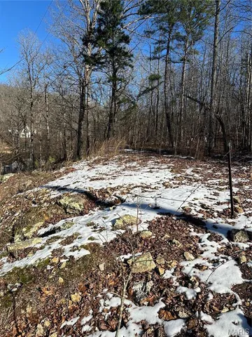 $98,000 | 0 Ripley U-1a, Doniphan, MO 63935