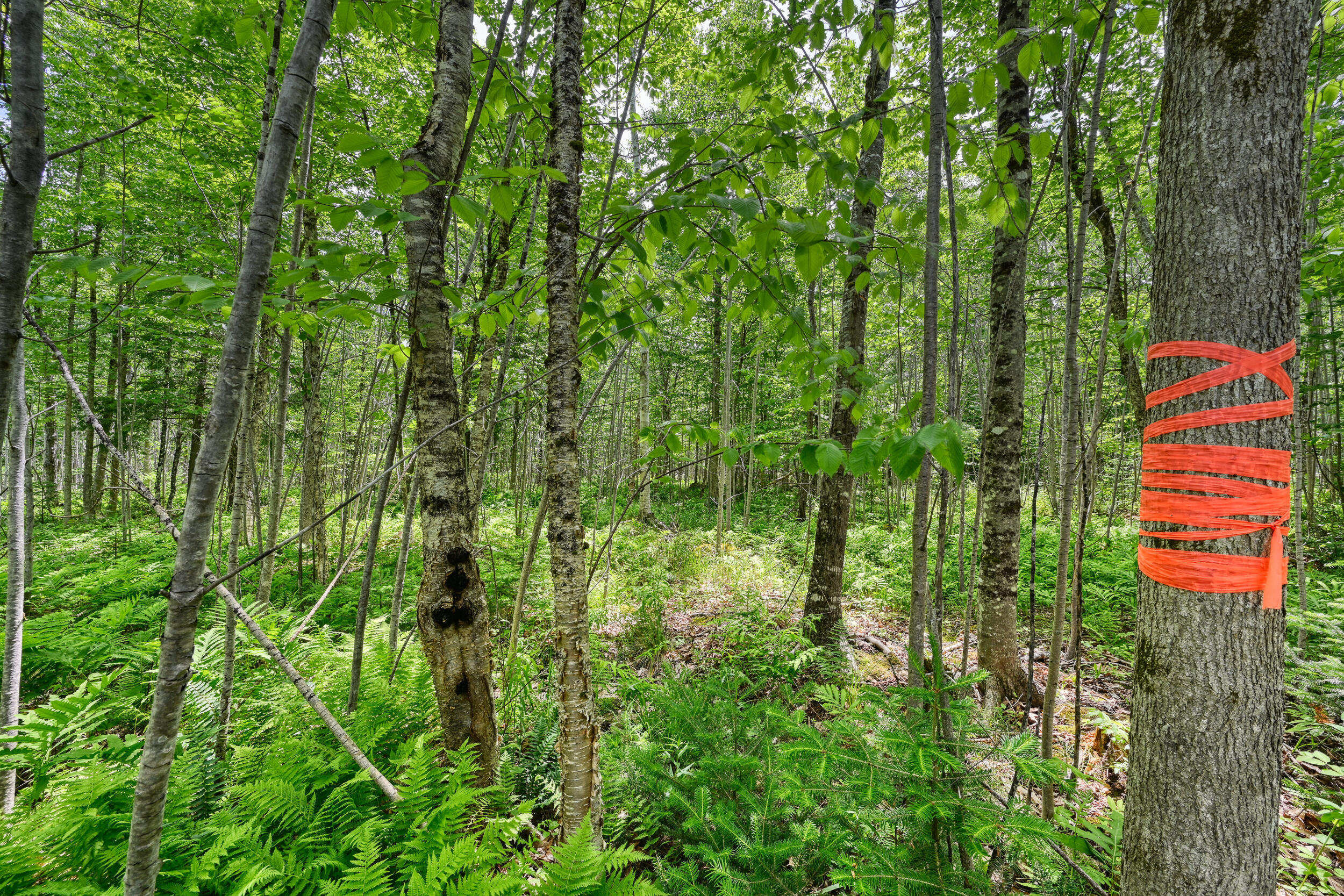 0 Macomber Road Readfield, ME 04355 - Photo 5 of 61 149-Z4LWJYW--LP-104
