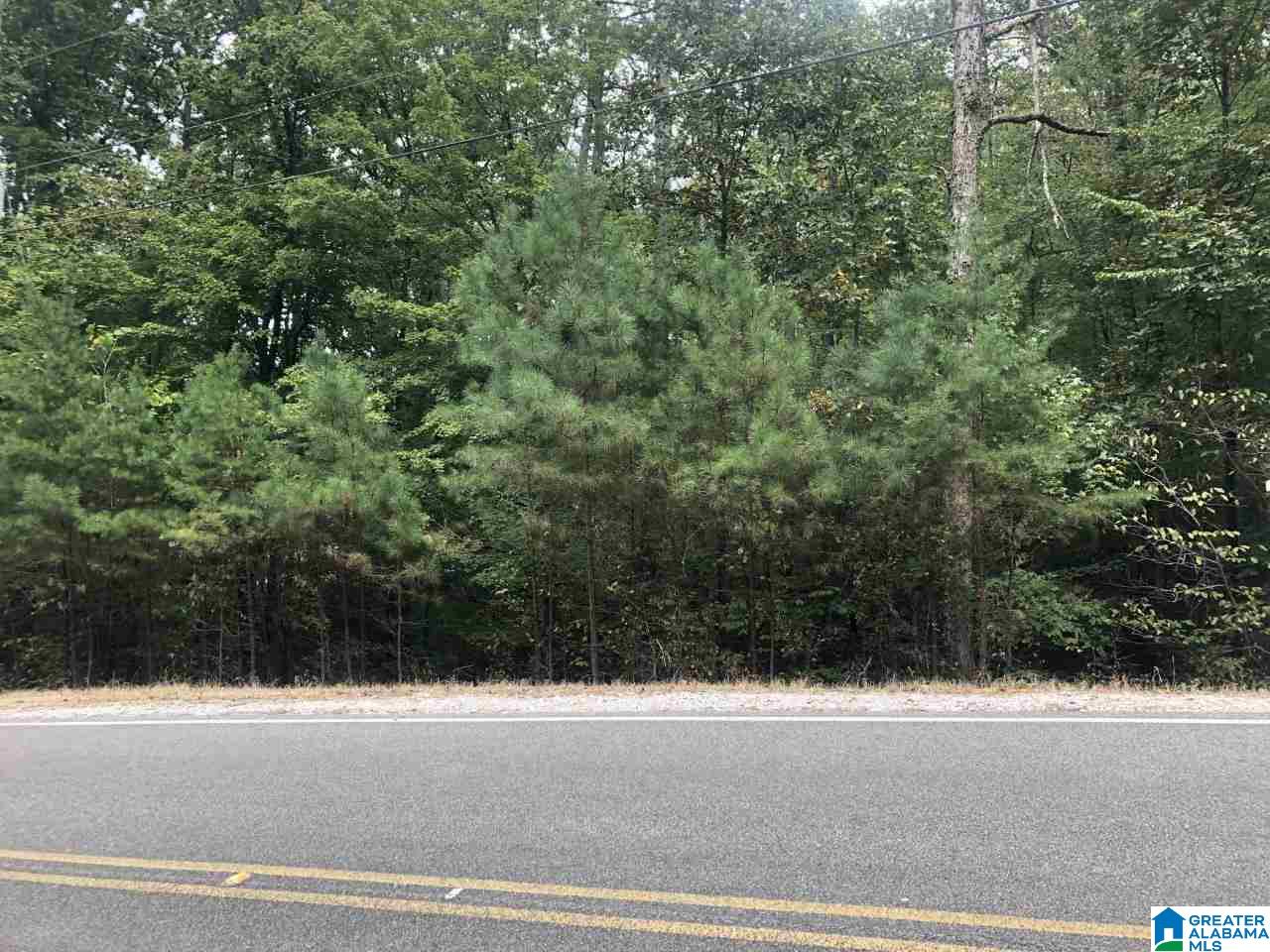 8290 Goodner Mountain Road, Unit 8290 Trussville, AL 35173 - Photo 1 of 4