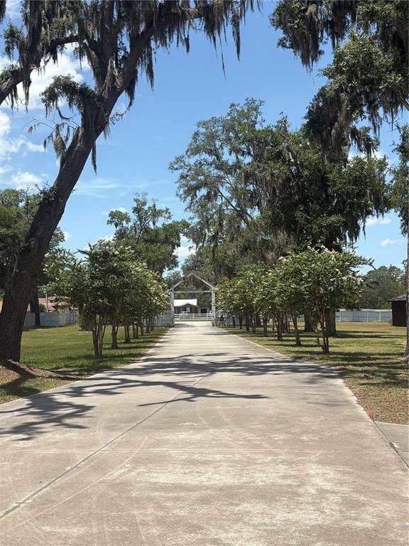 1965 Little Road, Unit D Lake City, FL 32024 - Photo 16 of 25