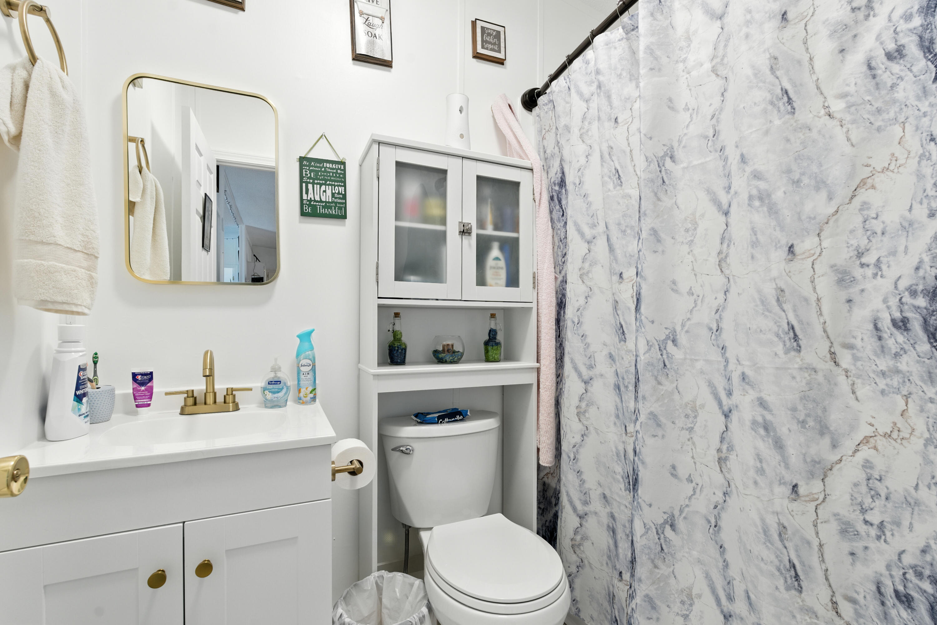 221 Cedar Court Gretna, VA 24557 - Photo 25 of 39 a bathroom with a sink a toilet and a mirror