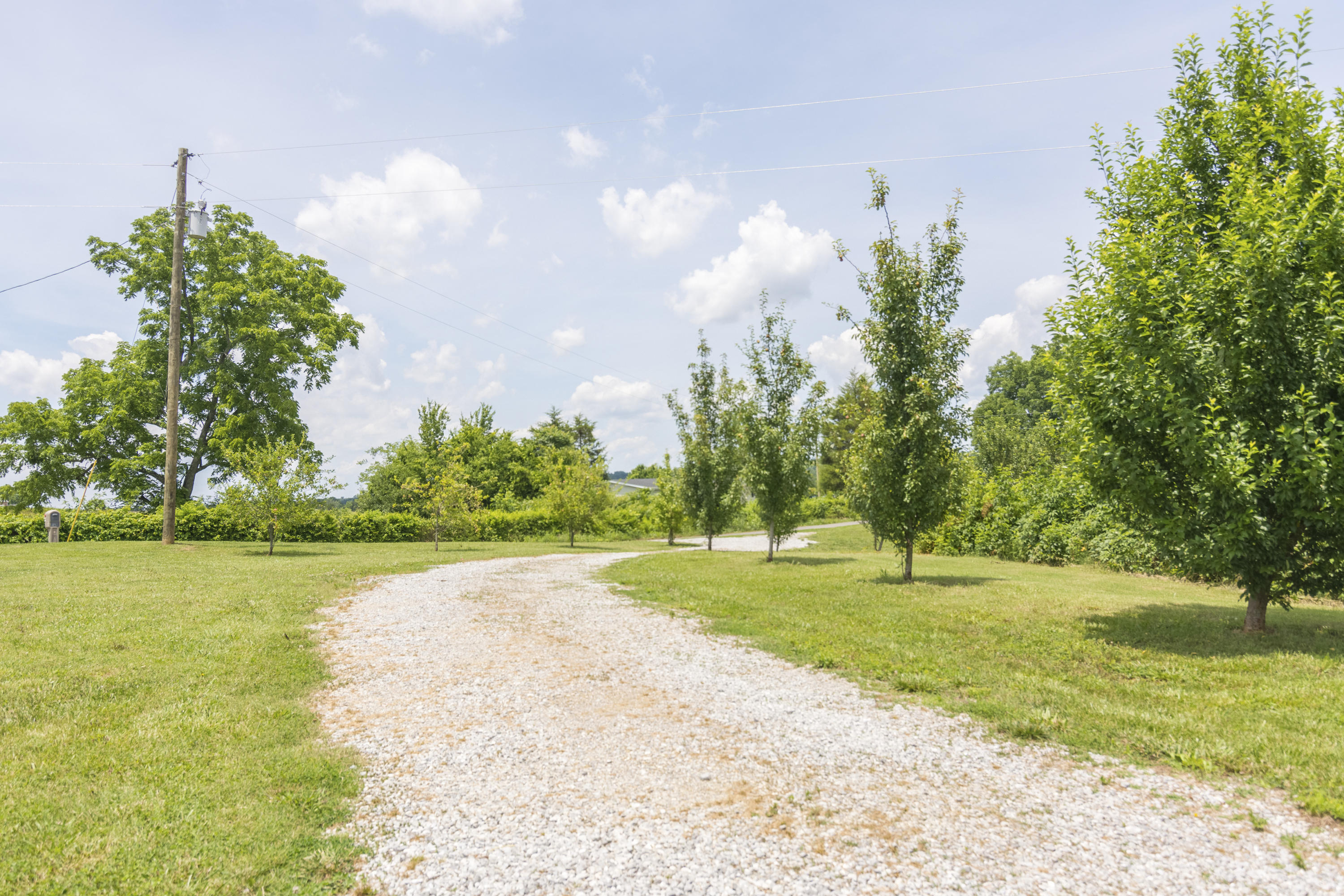 2558 May Road Talbott, TN 37877 - Photo 31 of 32 2558 May Rd. 031