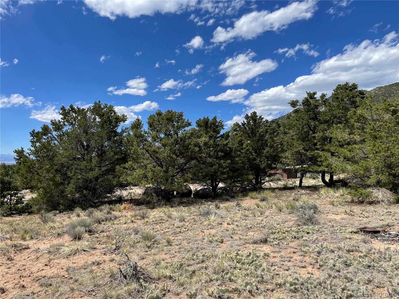4303 Fallen Tree Way Crestone, CO 81131 - Photo 19 of 19
