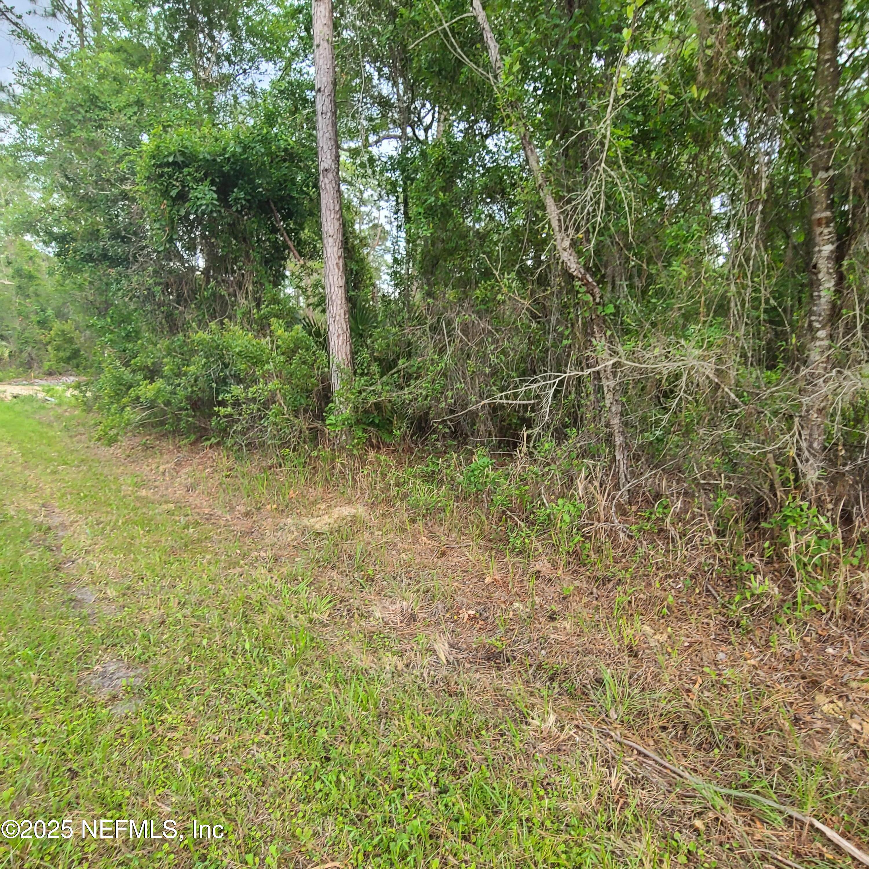 233 Paradise Boulevard Georgetown, FL 32139 - Photo 2 of 8 1000002782