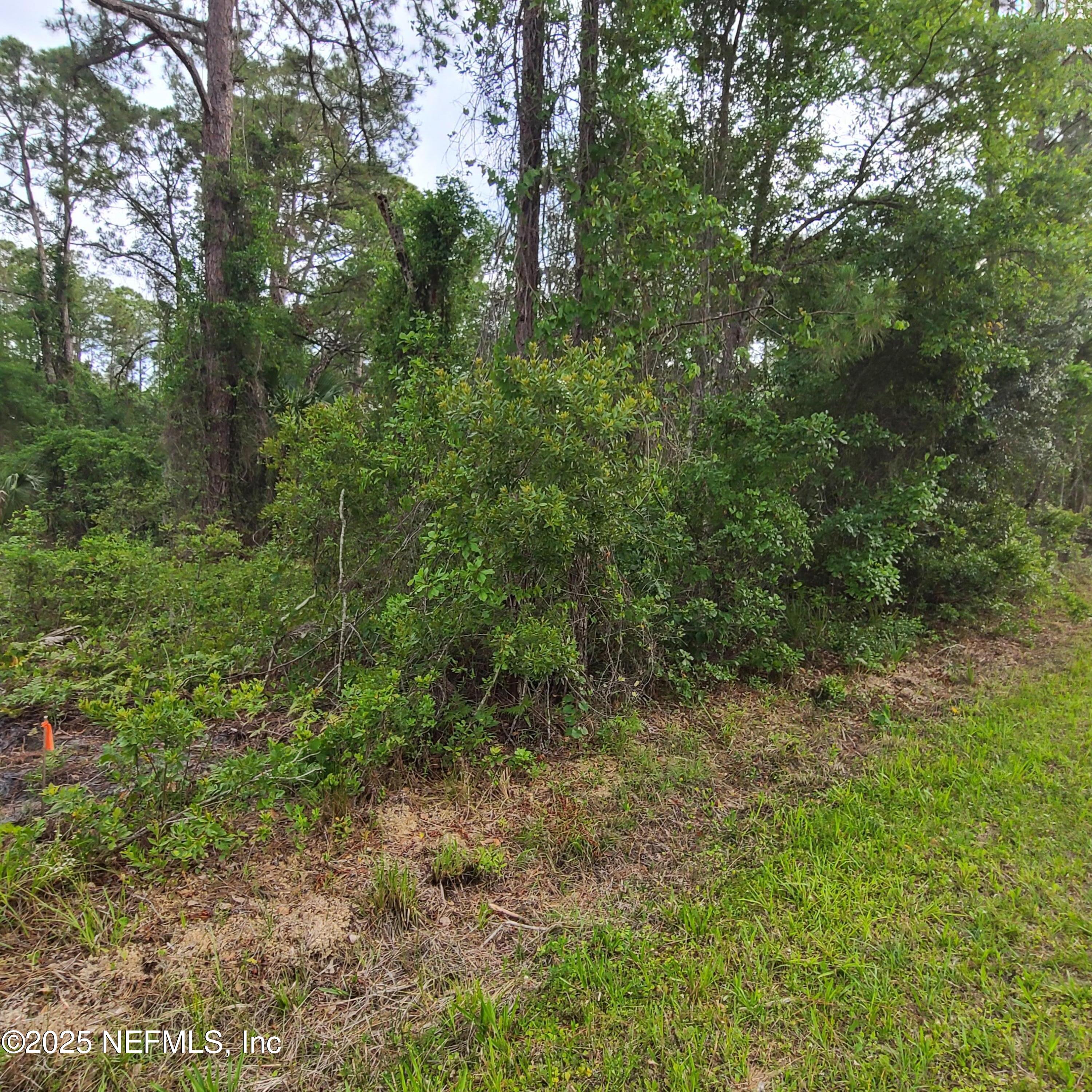 233 Paradise Boulevard Georgetown, FL 32139 - Photo 3 of 8 1000002783