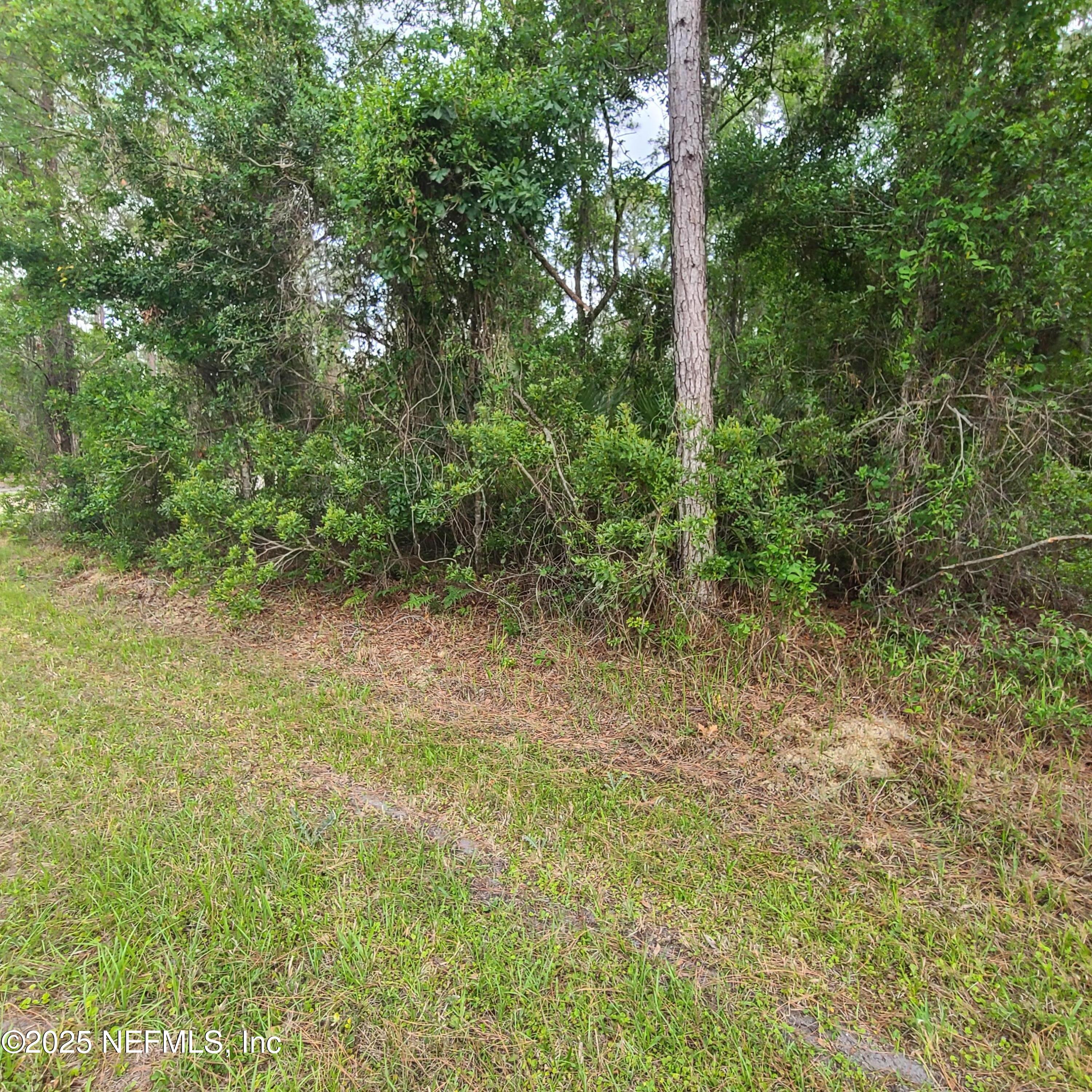 233 Paradise Boulevard Georgetown, FL 32139 - Photo 4 of 8 1000002781