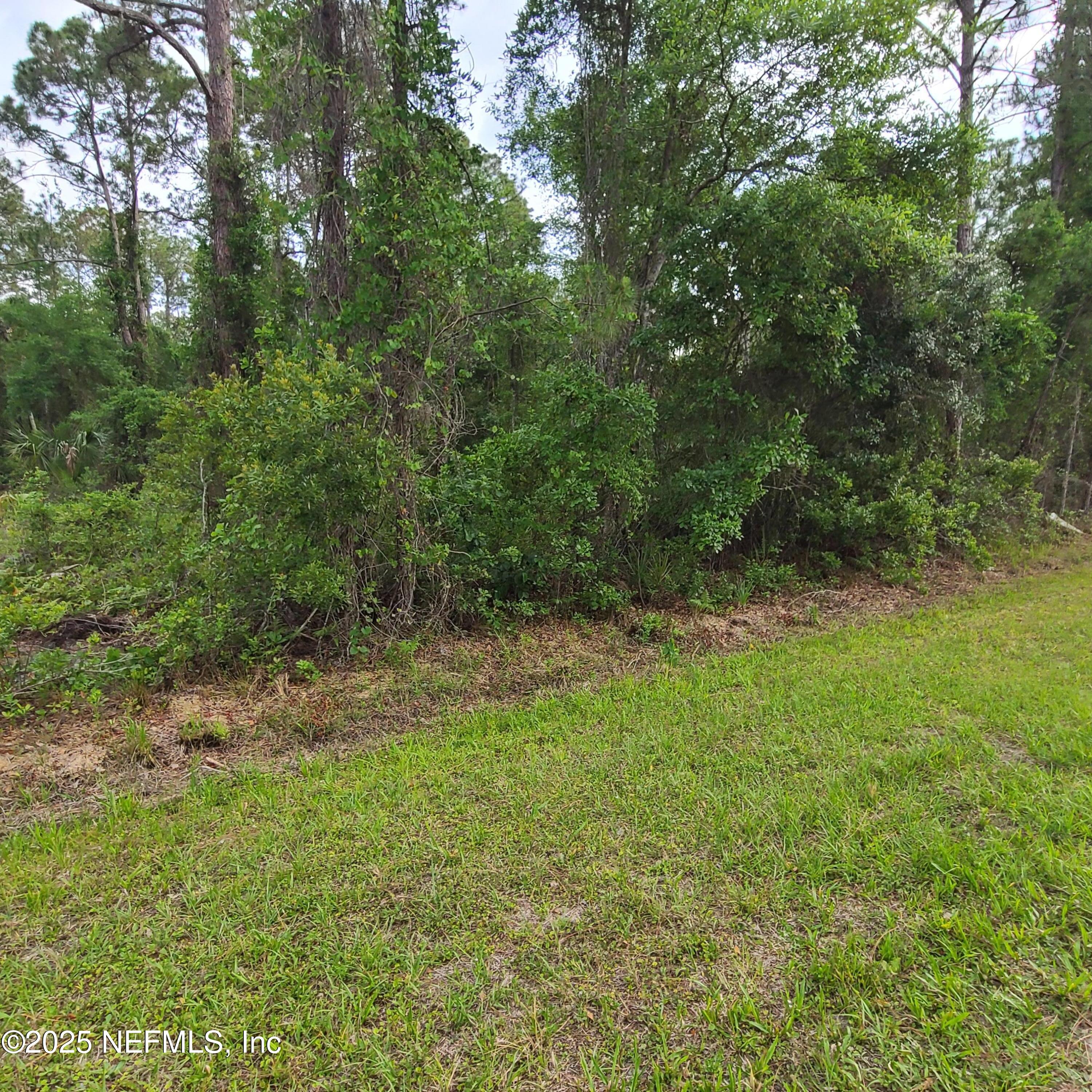 233 Paradise Boulevard Georgetown, FL 32139 - Photo 5 of 8 1000002785 (1)