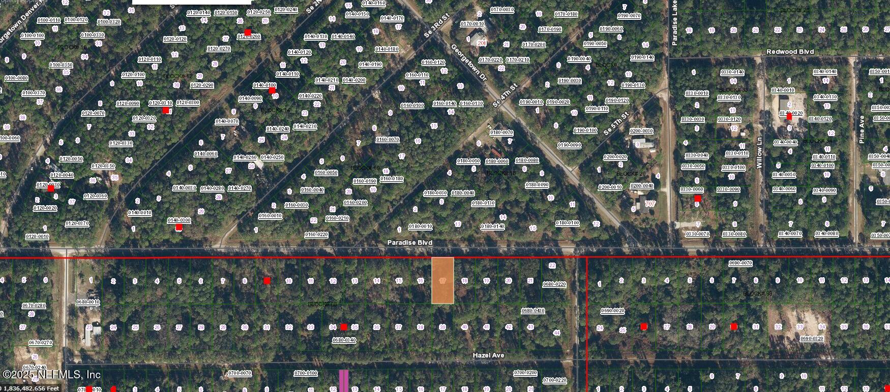 233 Paradise Boulevard Georgetown, FL 32139 - Photo 6 of 8 233 P