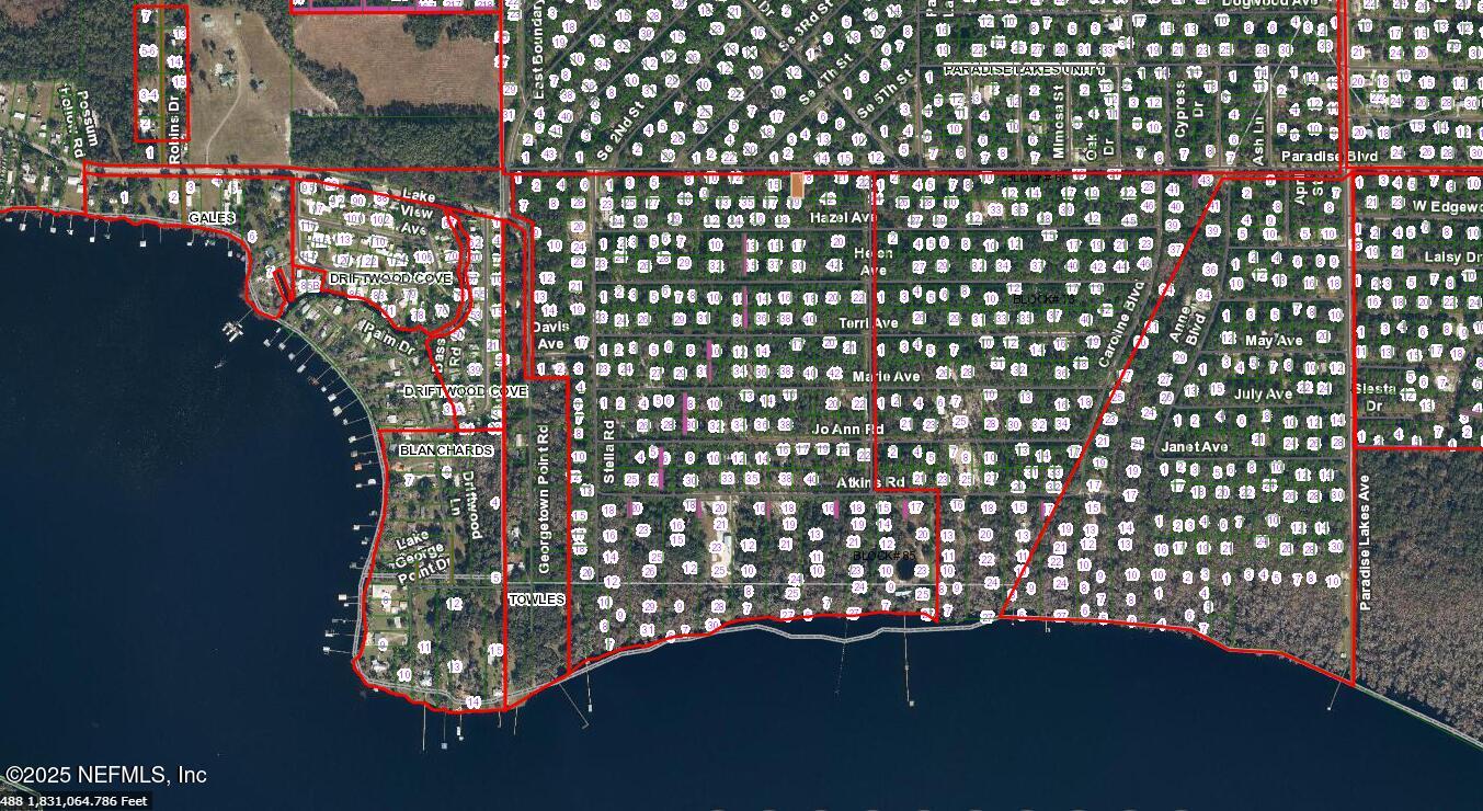 233 Paradise Boulevard Georgetown, FL 32139 - Photo 7 of 8 233p1