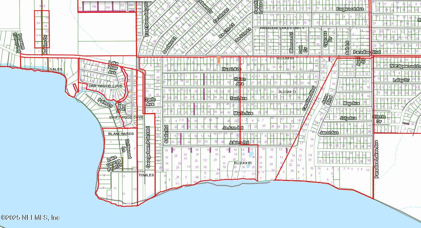 233 Paradise Boulevard Georgetown, FL 32139 - Photo 8 of 8 233p2