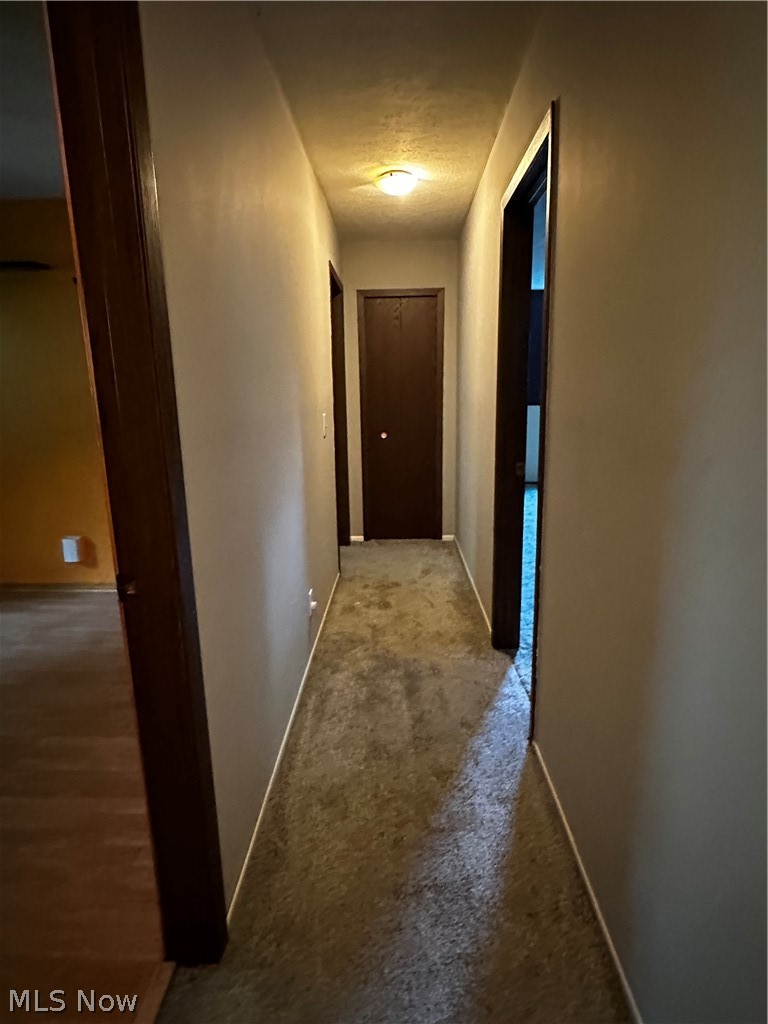198 Park Road Painesville, OH 44077 - Photo 26 of 31 Hallway with neutral wall paint, overhead lighting, and dark wood-finish doors