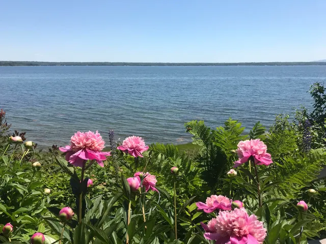 $995,000 | 494 Newbury Neck Road, Surry, ME 04684