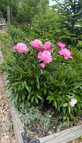 $995,000 | 494 Newbury Neck Road, Surry, ME 04684