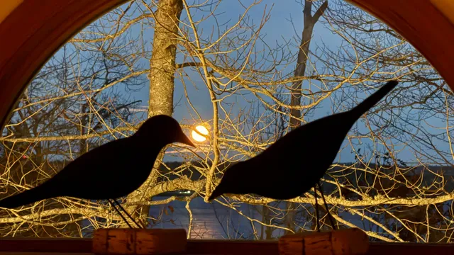 $995,000 | 494 Newbury Neck Road, Surry, ME 04684