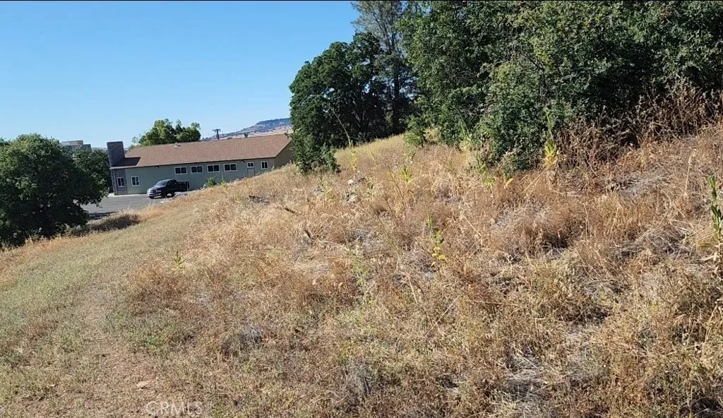 0 Foothill Oroville, CA 95966 - Photo 37 of 53 a view of a dry yard with trees