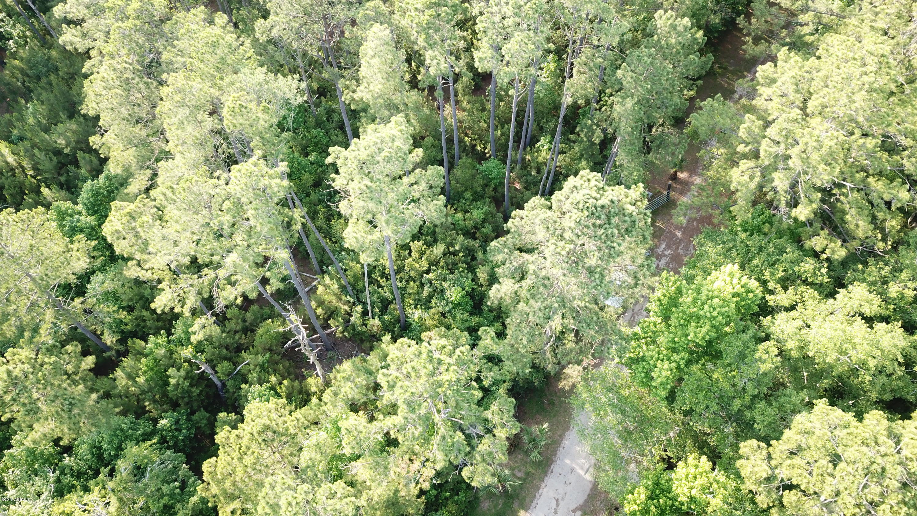 Tbd Simmons Road St. Helena Island, SC 29920 - Photo 5 of 8 DJI_0182