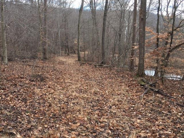 10.44-ac Straight Fork Road Peebles, OH 45660 - Photo 16 of 27