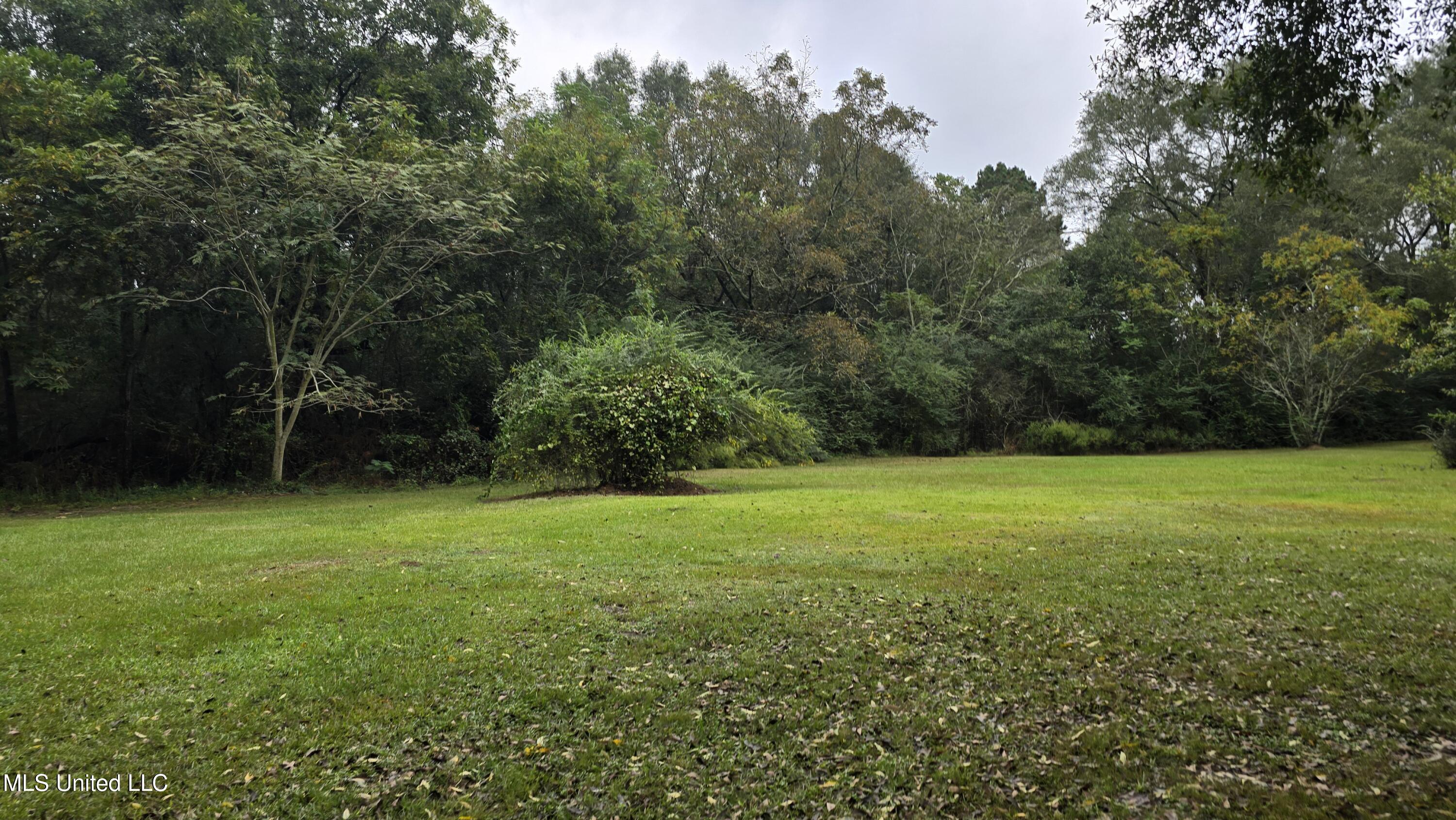 397 West Oakvale Road Mount Olive, MS 39119 - Photo 23 of 31 20250925_100023