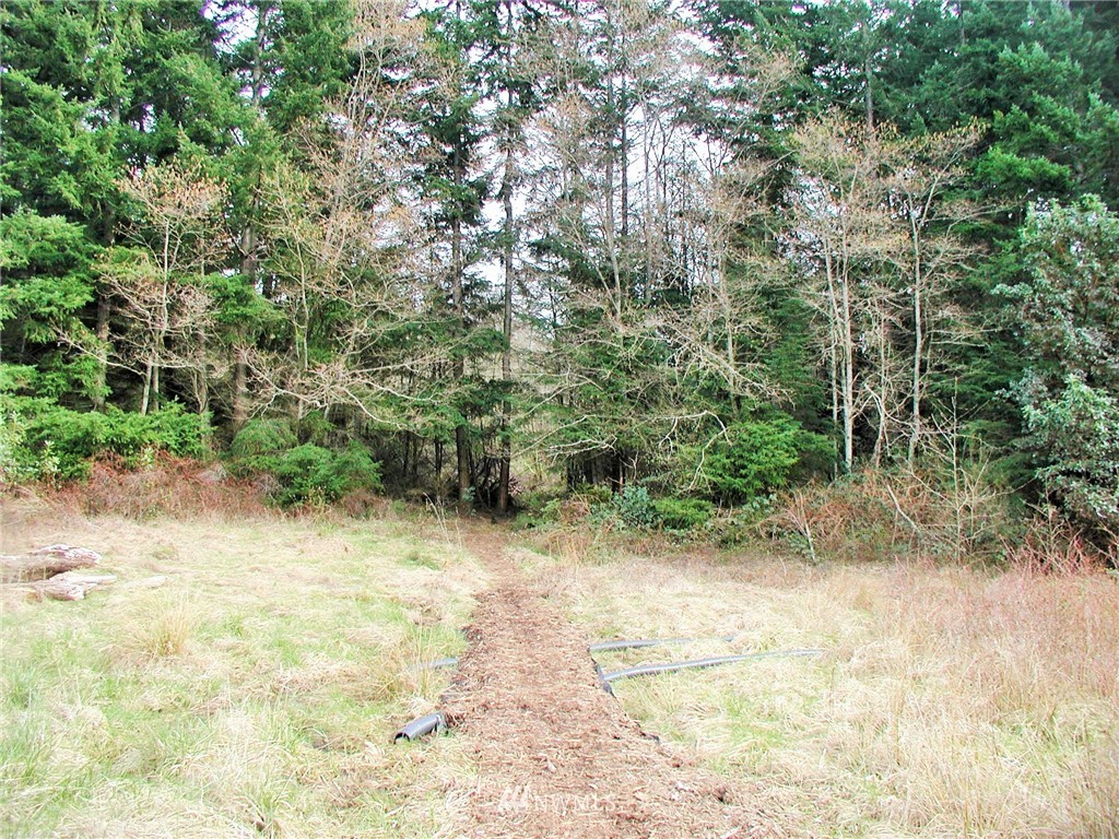 300 Russell Road Camano Island, WA 98282 - Photo 11 of 11 Gallery Image 11