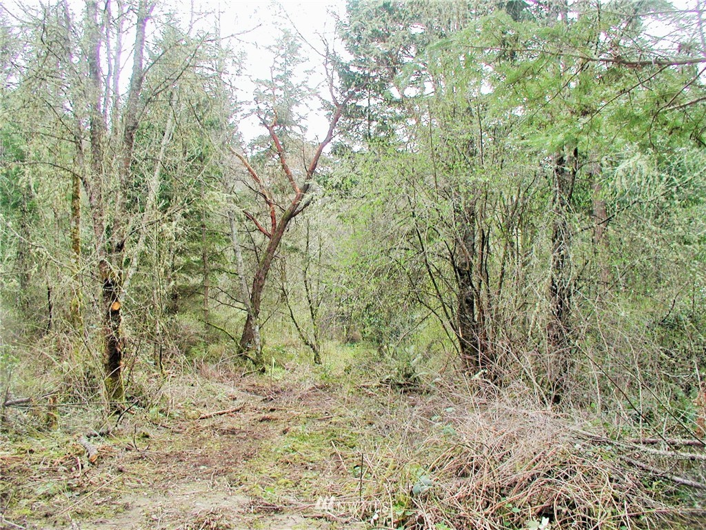 300 Russell Road Camano Island, WA 98282 - Photo 10 of 11 Gallery Image 10