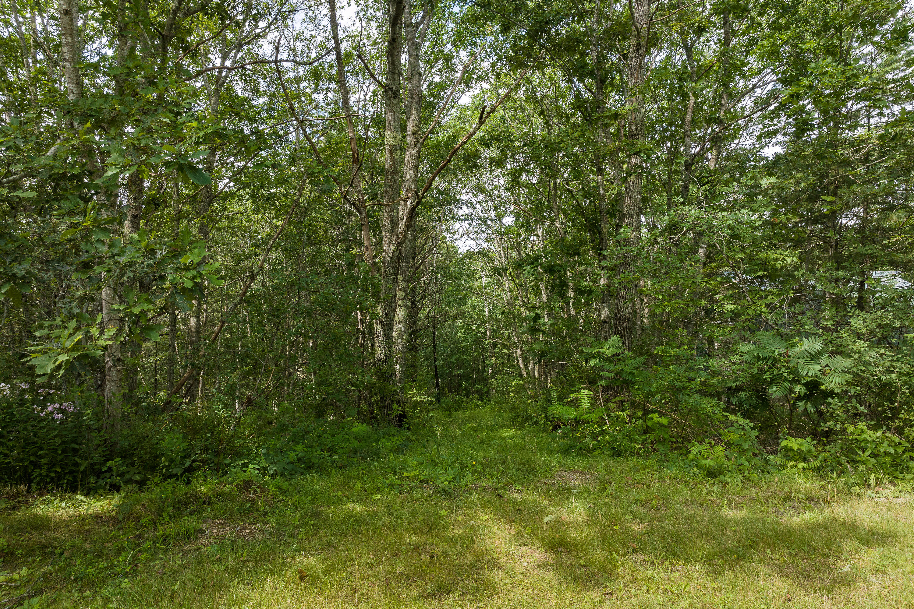 186 River Road Edgecomb, ME 04556 - Photo 36 of 39 (76)_186 River Rd. Edgecomb(MAPS)