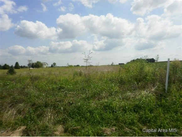 7728 Wesley Chapel Road Chatham, IL 62629 - Photo 1 of 1