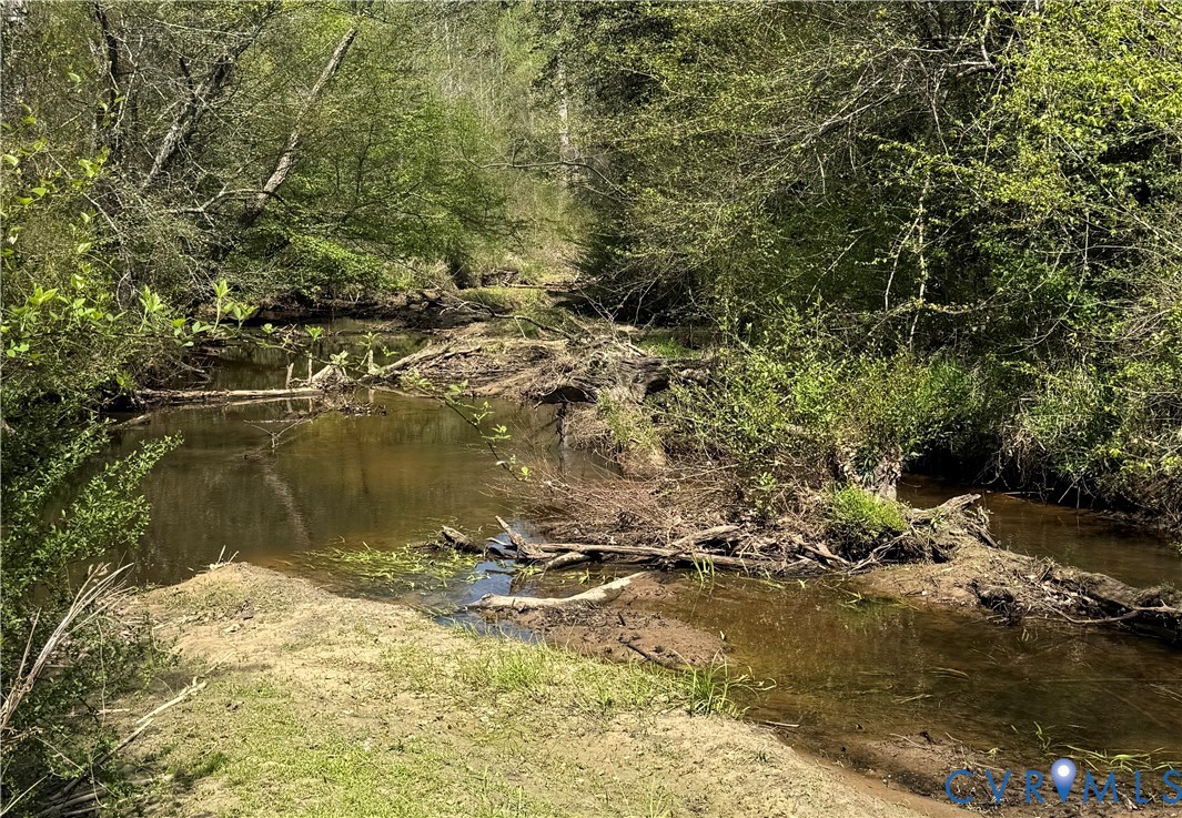 18318 Wards Creek Road Disputanta, VA 23842 - Photo 12 of 16