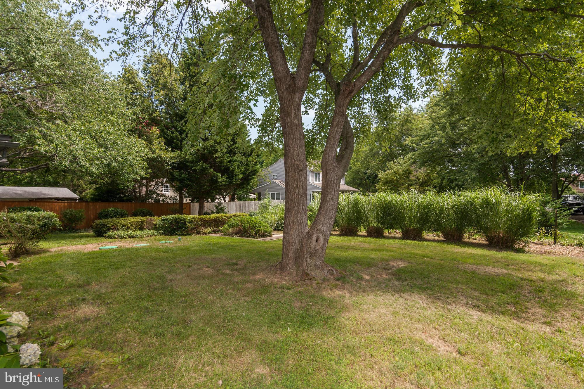 613 Edwards Road Annapolis, MD 21409 - Photo 22 of 28 a view of a trees in a yard