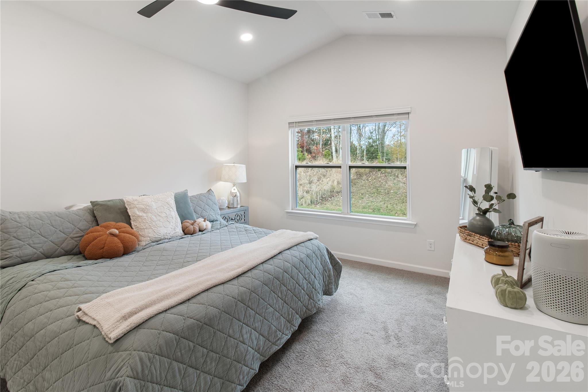 345 Ridgeview Lane Mars Hill, NC 28754 - Photo 5 of 13 a bedroom with a bed a flat screen tv and window