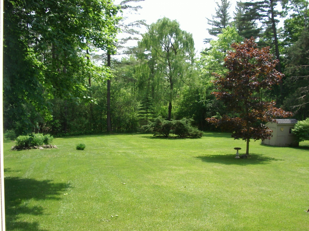 265 Devon Road Lee, MA 01238 - Photo 3 of 10 scenic back yard